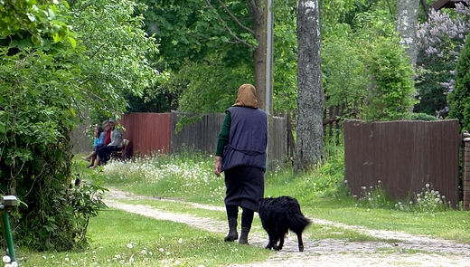 Niedzielne popoudnie