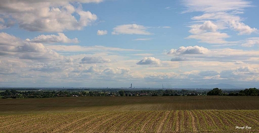 Widok Wrocawia z rejonu wsi Guchw