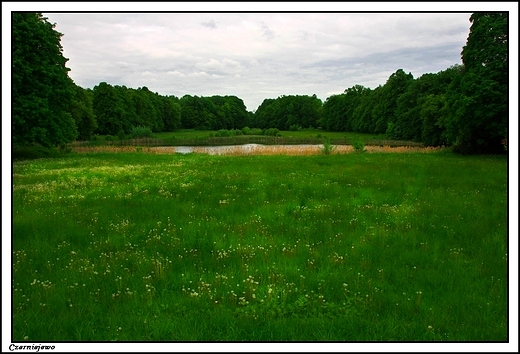 Czerniejewo -  zesp paacowo_ parkowy Lipskich_widok na park