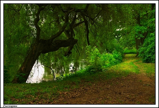 Czerniejewo -  zesp paacowo_ parkowy Lipskich_ nad stawem Pia