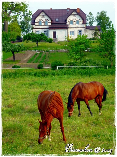 Kociewie - agodna kraina ;