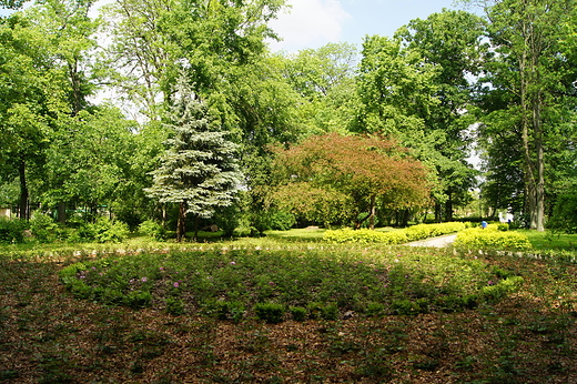 Park miejski