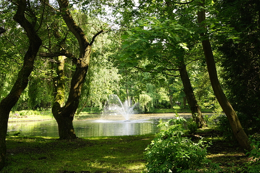 Park miejski