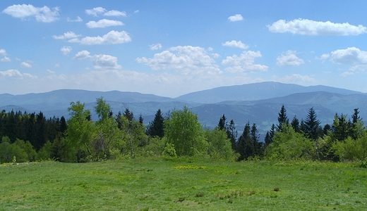 Widok z Leskowca