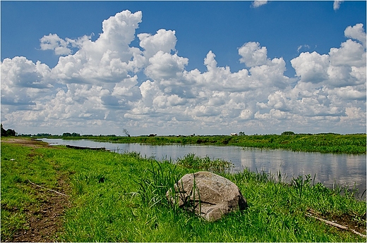 Nad Biebrz o wiosennej porze.