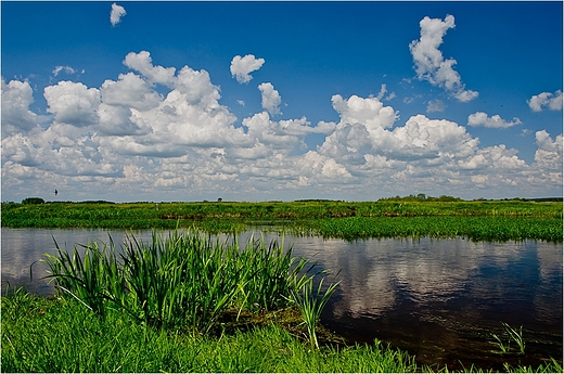 Sielsko nad Biebrz.