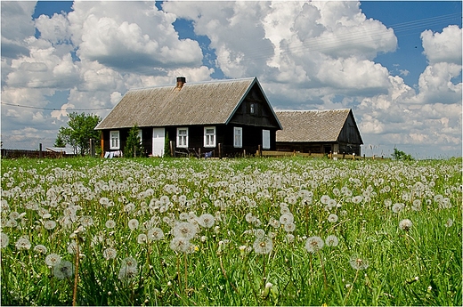 Mniszkowa kraina.