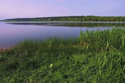 Jezioro Budziszewskie