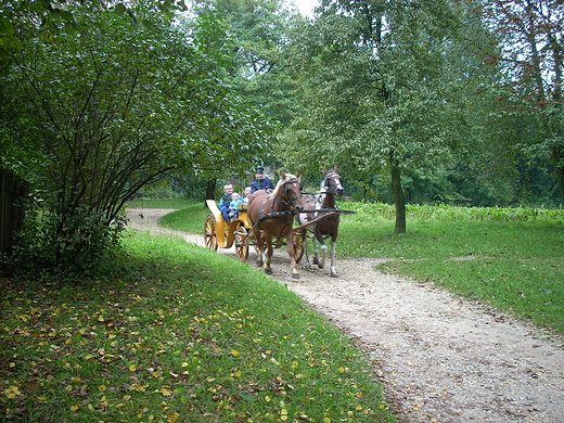 Muzeum Wsi Lubelskiej