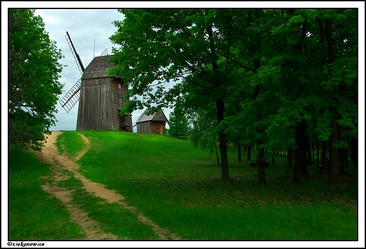 Dziekanowice - wiatraki w skansenie