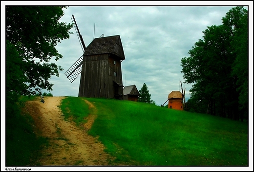 Dziekanowice - wiatraki w skansenie