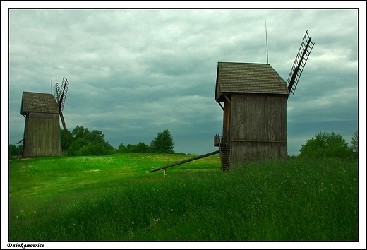 Dziekanowice - wiatraki w skansenie