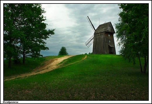 Dziekanowice - wiatraki w skansenie