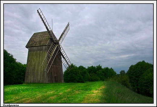 Dziekanowice - wiatraki w skansenie