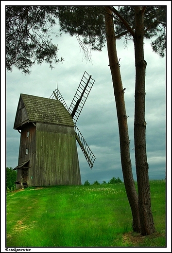 Dziekanowice - wiatraki w skansenie