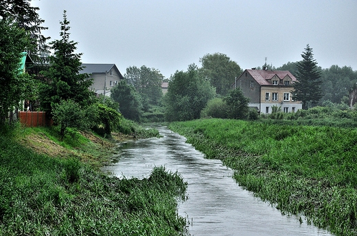 Rzeka Troja