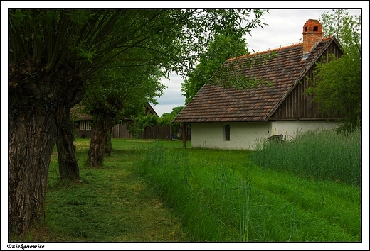 Dziekanowice - Wielkopolski Park Etnograficzny