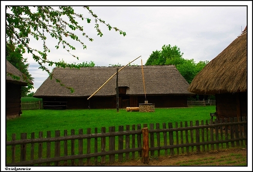 Dziekanowice - Wielkopolski Park Etnograficzny