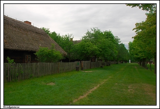 Dziekanowice - Wielkopolski Park Etnograficzny