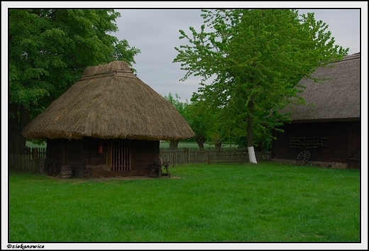 Dziekanowice - Wielkopolski Park Etnograficzny