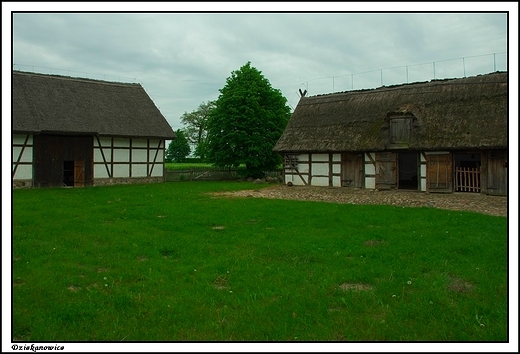 Dziekanowice - Wielkopolski Park Etnograficzny