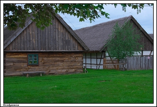 Dziekanowice - Wielkopolski Park Etnograficzny