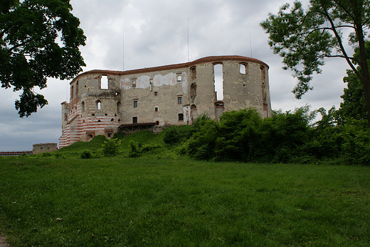 Ruiny zamku w Janowcu