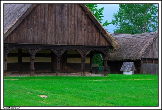 Dziekanowice - Wielkopolski Park Etnograficzny