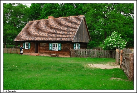 Dziekanowice - Wielkopolski Park Etnograficzny