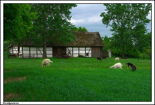 Dziekanowice - Wielkopolski Park Etnograficzny