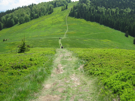 Rycerzowa