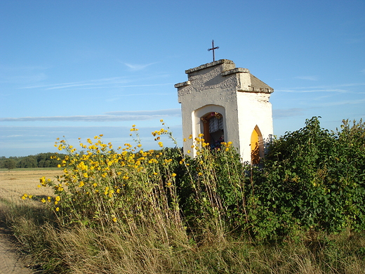 Kapliczka przy polnej drodze