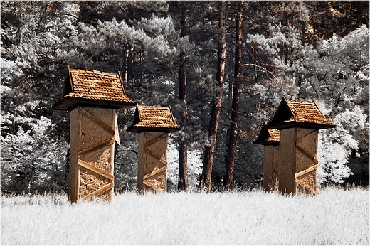 Stranicy Wigierskiego Parku Narodowego.IR