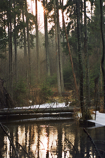 Kamionka. Wigierski Park Narodowy