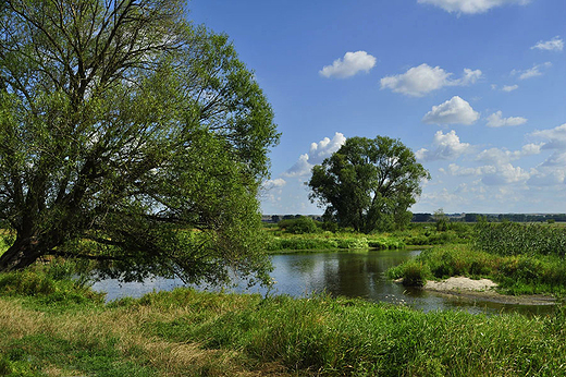 Nad Nidą