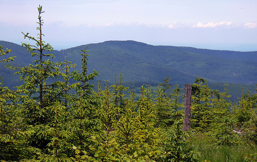 Beskid May. Widok na Hrobacz k-828 m n.p.m.