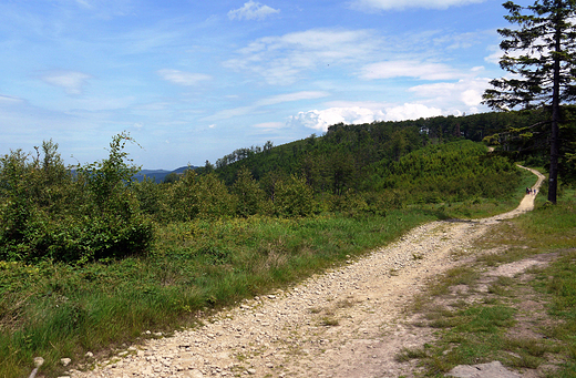 Beskid May. Droga na Czupel- 933 m n. p. m.