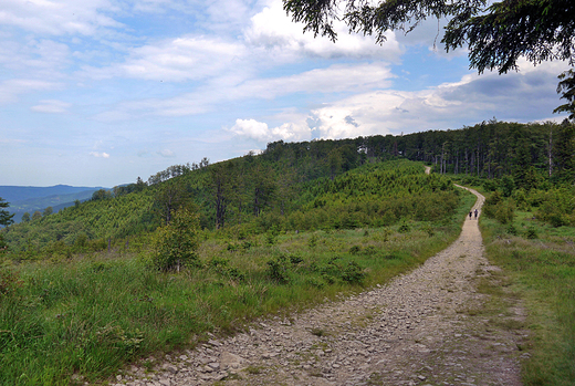 Czupel -933 m n. p. m. - najwyszy szczyt tego pasma grskiego.