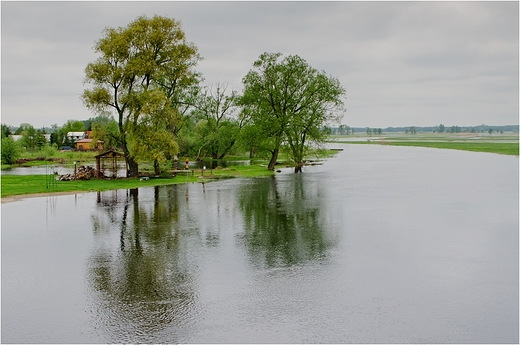 Biebrza - z mostu w Gonidzu.Maj 2013r.