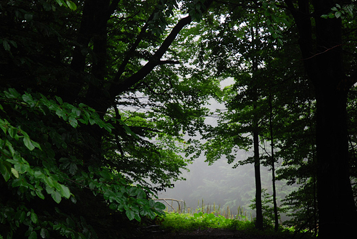 Bieszczadzki Park Narodowy