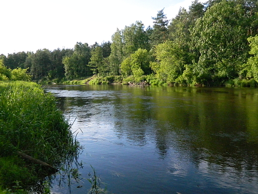 Szczypiorno. Nad Wkr.