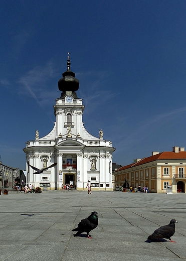 Bazylika Ofiarowania NMP