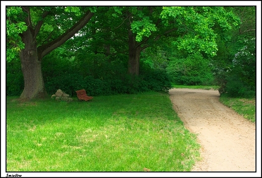 miew - paac Gorzeskich, obecnie Muzeum im. Adama Mickiewicza _ park