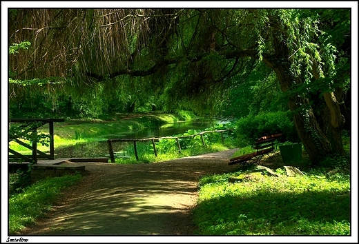 miew - paac Gorzeskich, obecnie Muzeum im. Adama Mickiewicza _ park