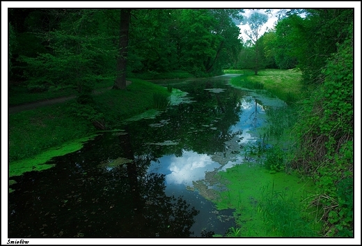 miew - paac Gorzeskich, obecnie Muzeum im. Adama Mickiewicza _ park