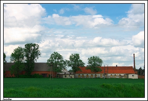 miew - paac Gorzeskich, obecnie Muzeum im. Adama Mickiewicza _ budynki gospodarcze