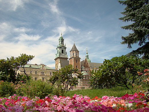 Wawel. Krakw