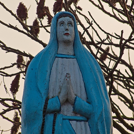 Upada Madonna. Wgorzyn