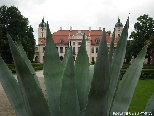 Paac i Muzeum Zamoyskich w Kozwce