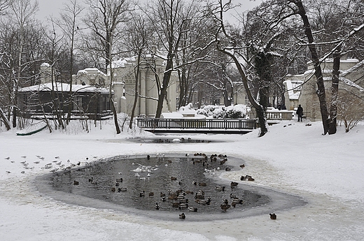 Serce azienek. Warszawa